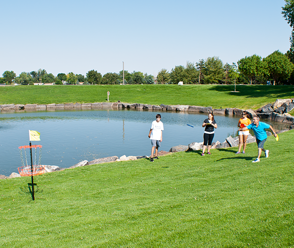 PS-DGS-II - Disc Golf Target Basket